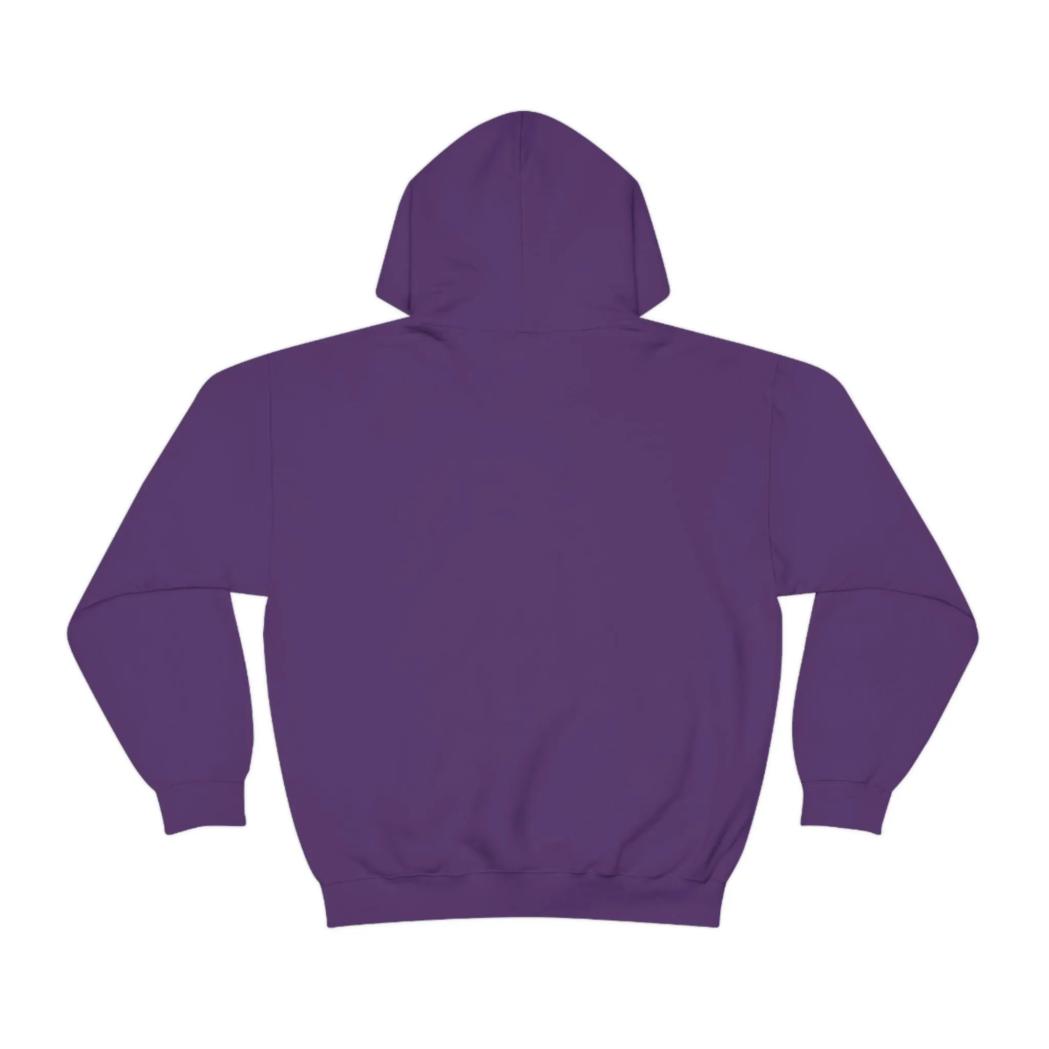 Aurora Chasers Hoodie