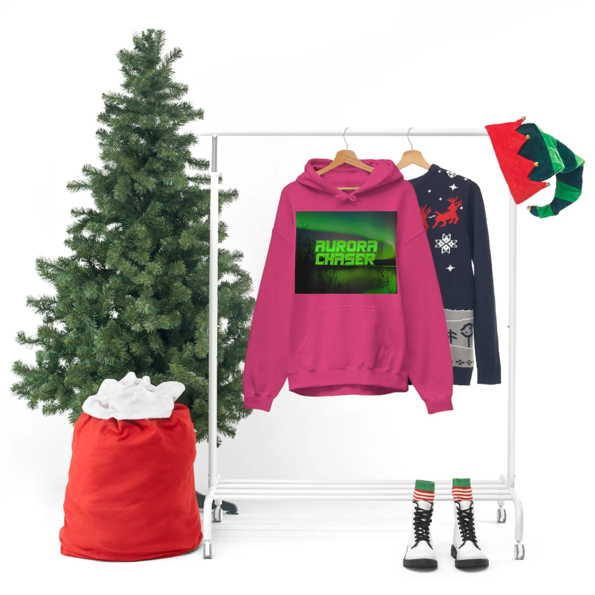 Aurora Chasers Hoodie